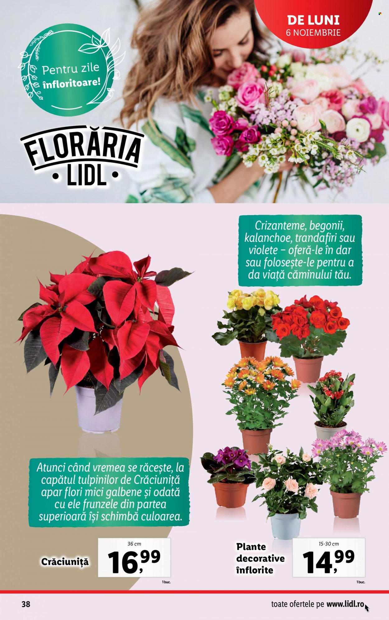 Catalog Lidl - 06.11.2023 - 12.11.2023. Pagina 38