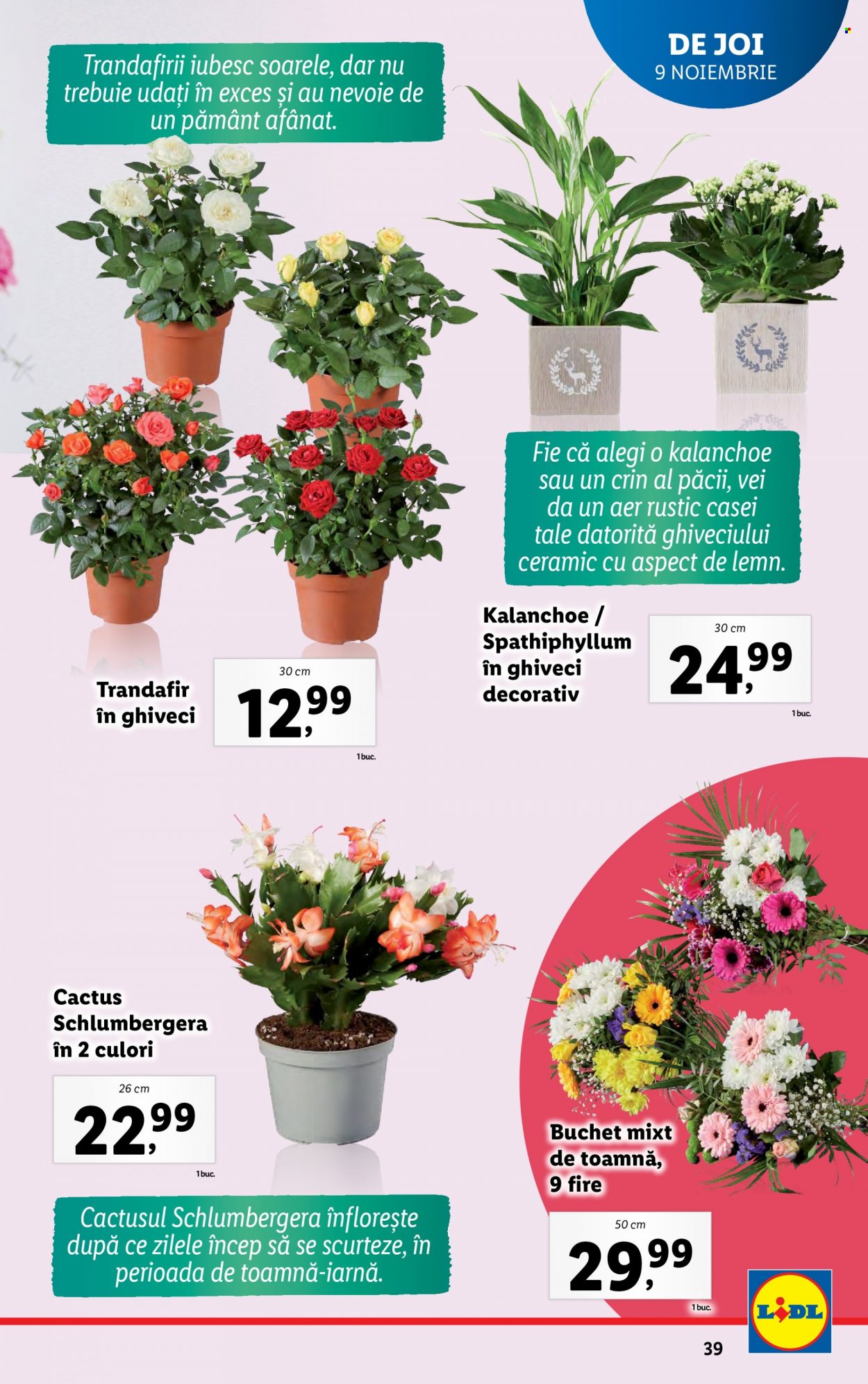 Catalog Lidl - 06.11.2023 - 12.11.2023. Pagina 39