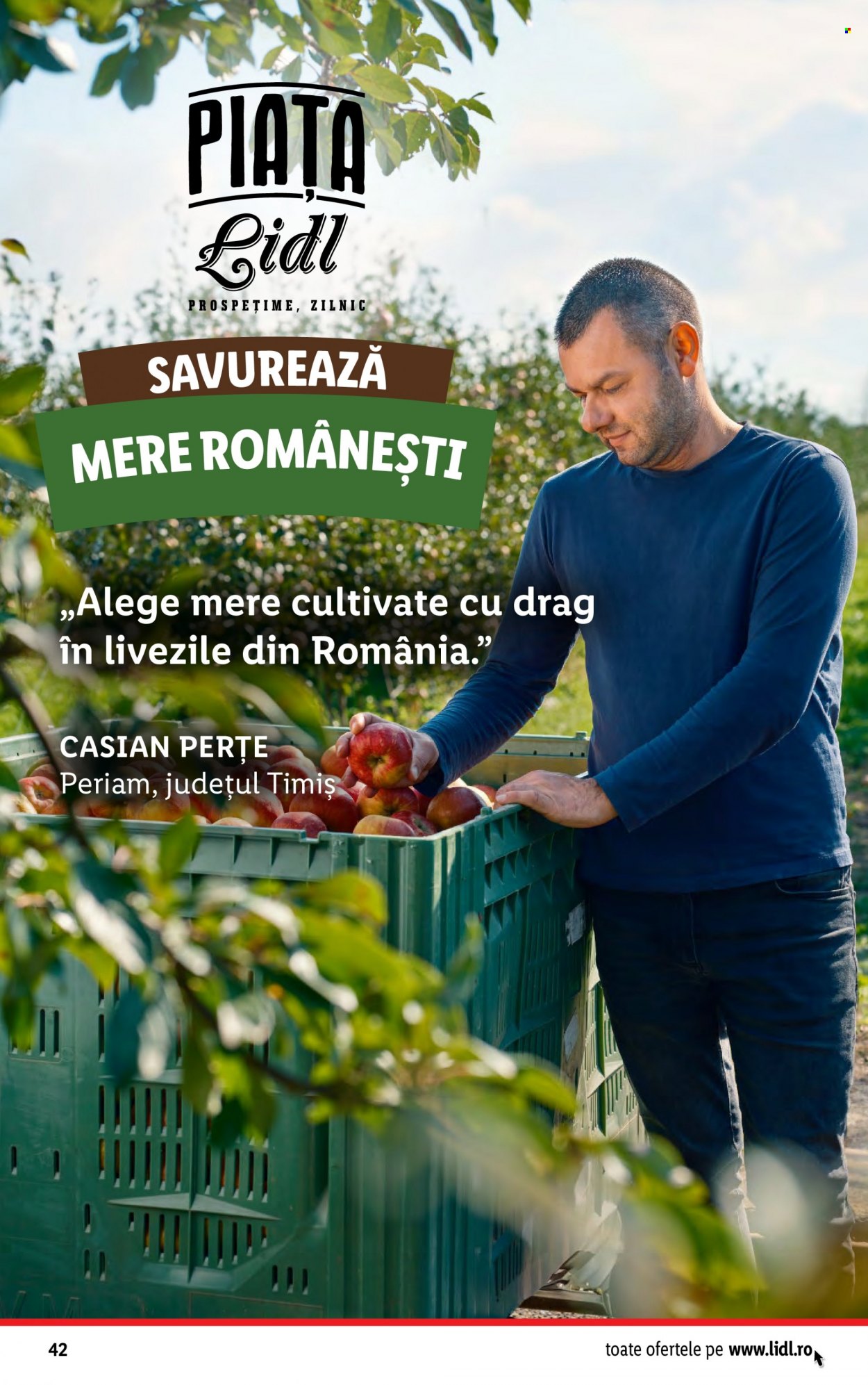 Catalog Lidl - 06.11.2023 - 12.11.2023. Pagina 42