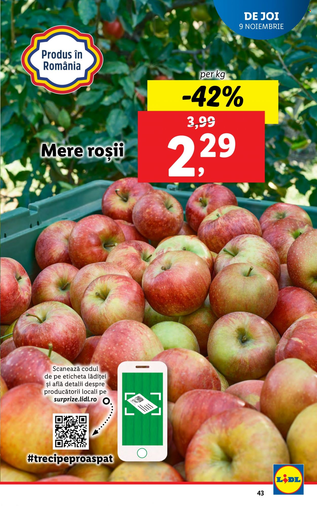 Catalog Lidl - 06.11.2023 - 12.11.2023. Pagina 43