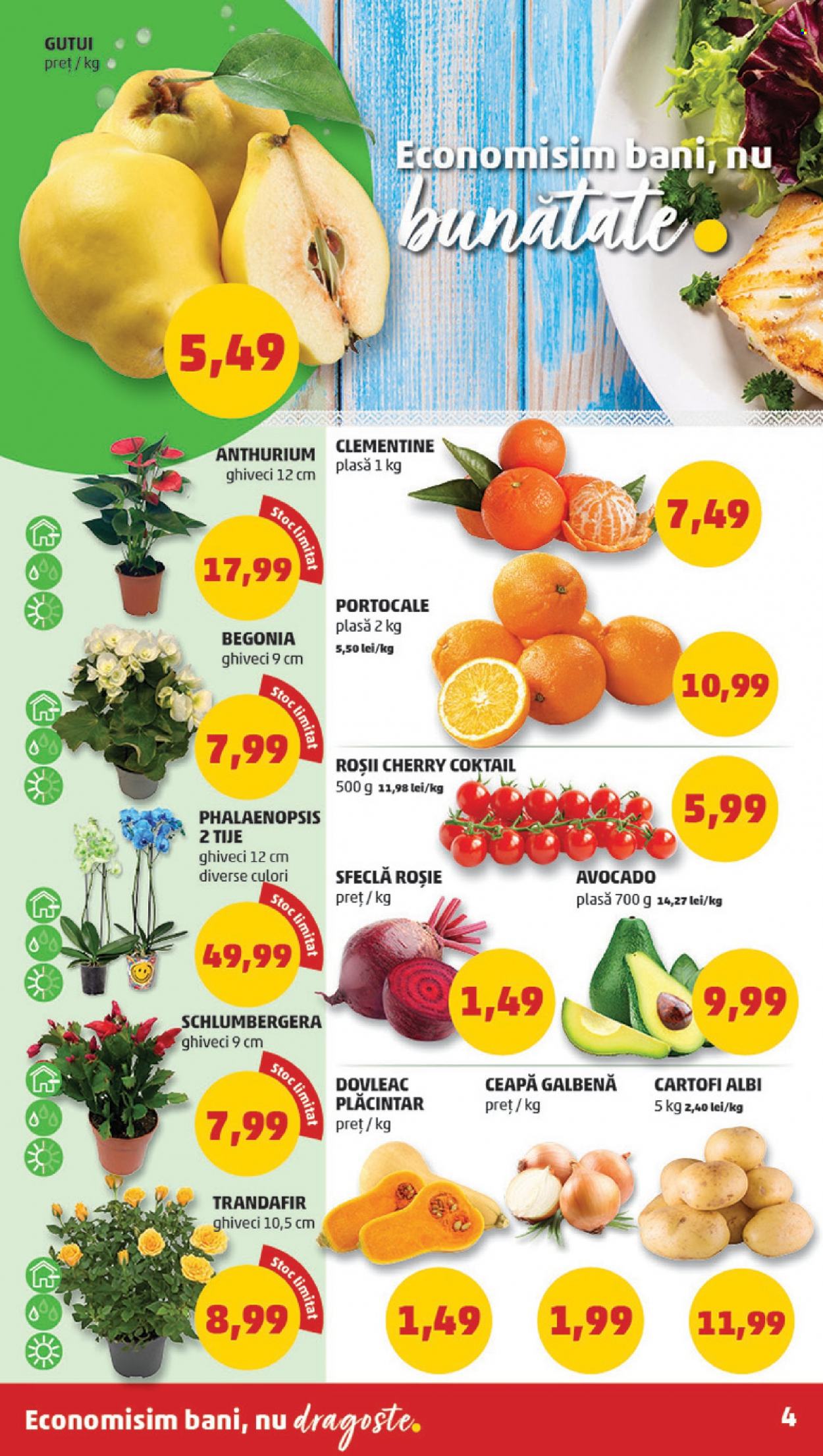 Catalog PENNY - 08.11.2023 - 14.11.2023. Pagina 4