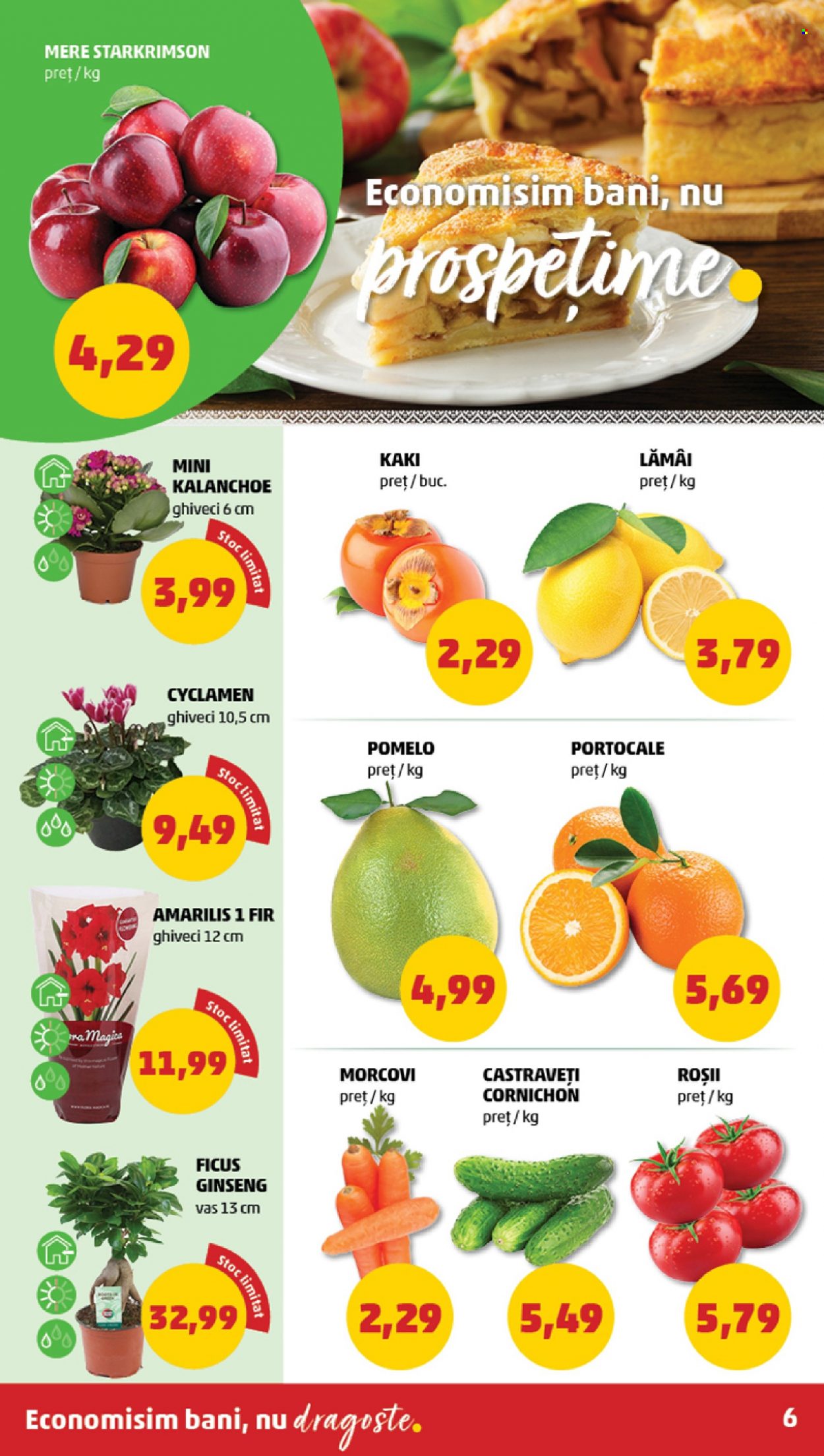 Catalog PENNY - 15.11.2023 - 21.11.2023. Pagina 6