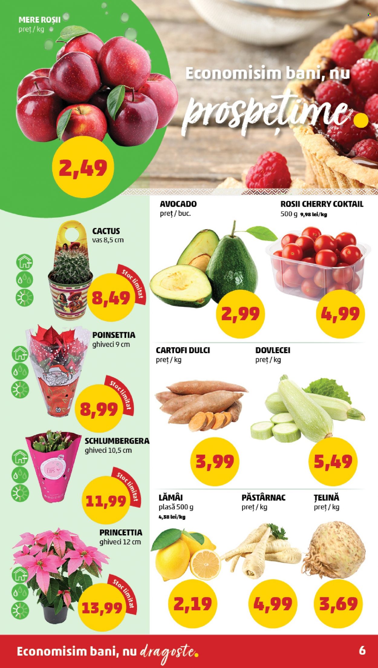 Catalog PENNY - 22.11.2023 - 28.11.2023. Pagina 6