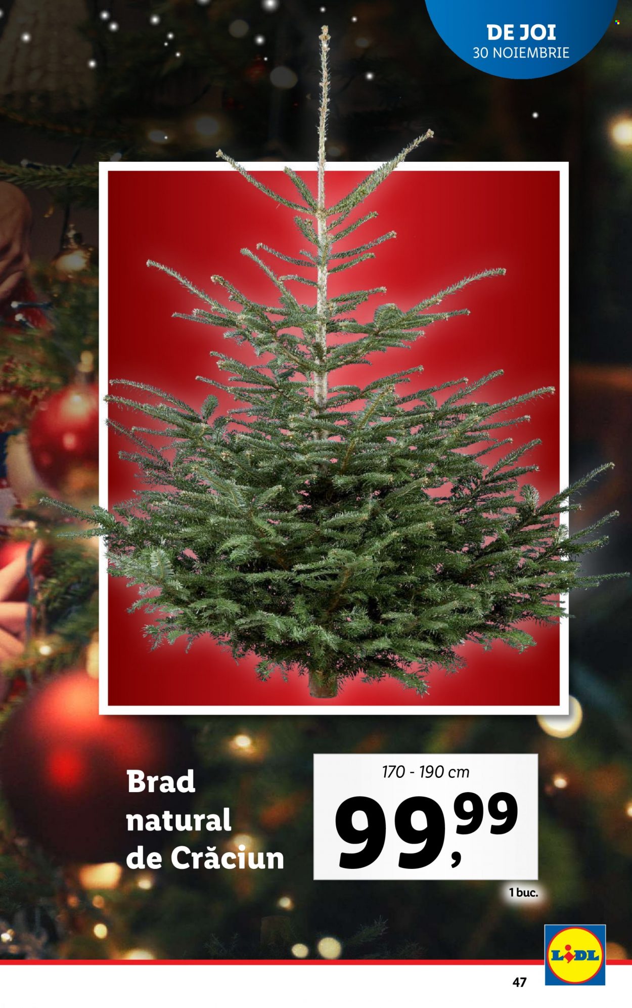 Catalog Lidl - 27.11.2023 - 03.12.2023. Pagina 47