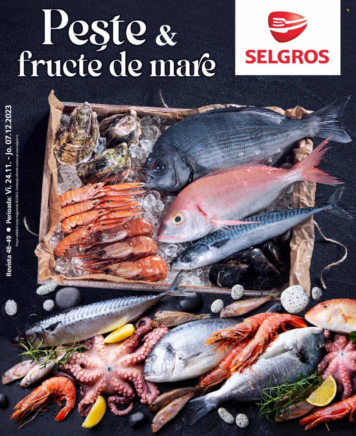 Catalog Selgros - 24.11.2023 - 07.12.2023. Pagina 1