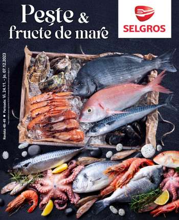 Cataloage Selgros - 24.11.2023 - 07.12.2023.