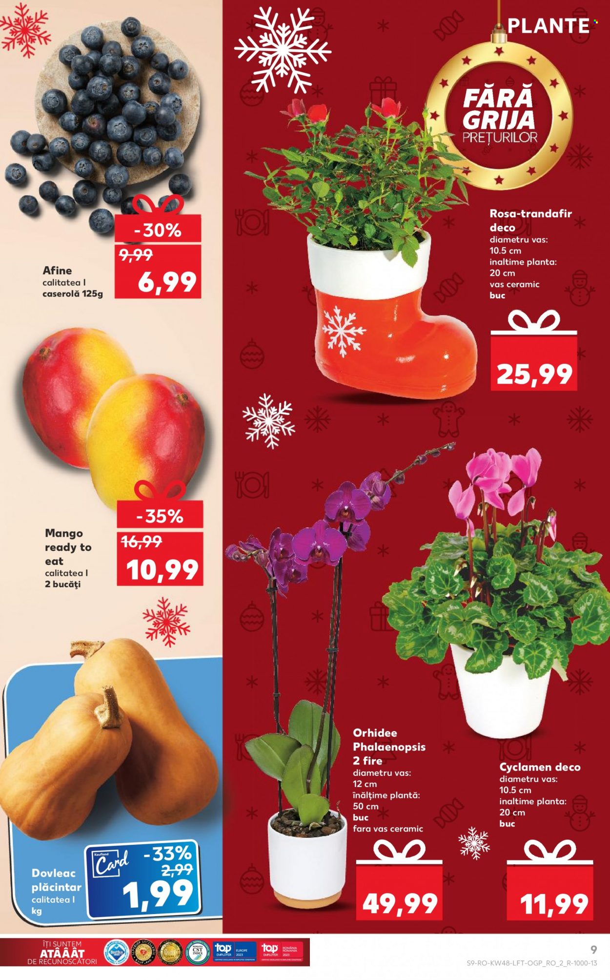 Catalog Kaufland - 29.11.2023 - 05.12.2023. Pagina 9