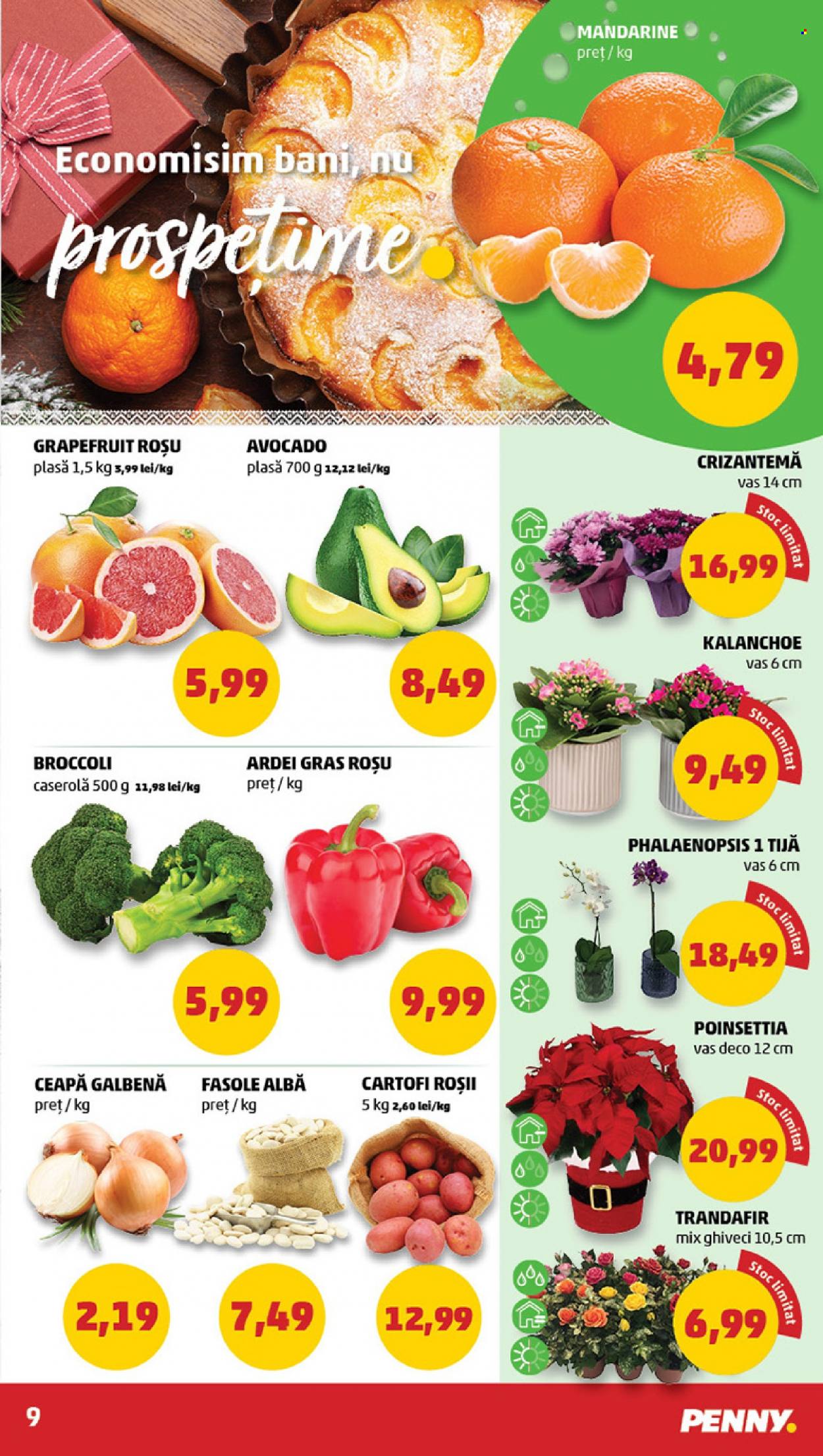 Catalog PENNY - 29.11.2023 - 05.12.2023. Pagina 9