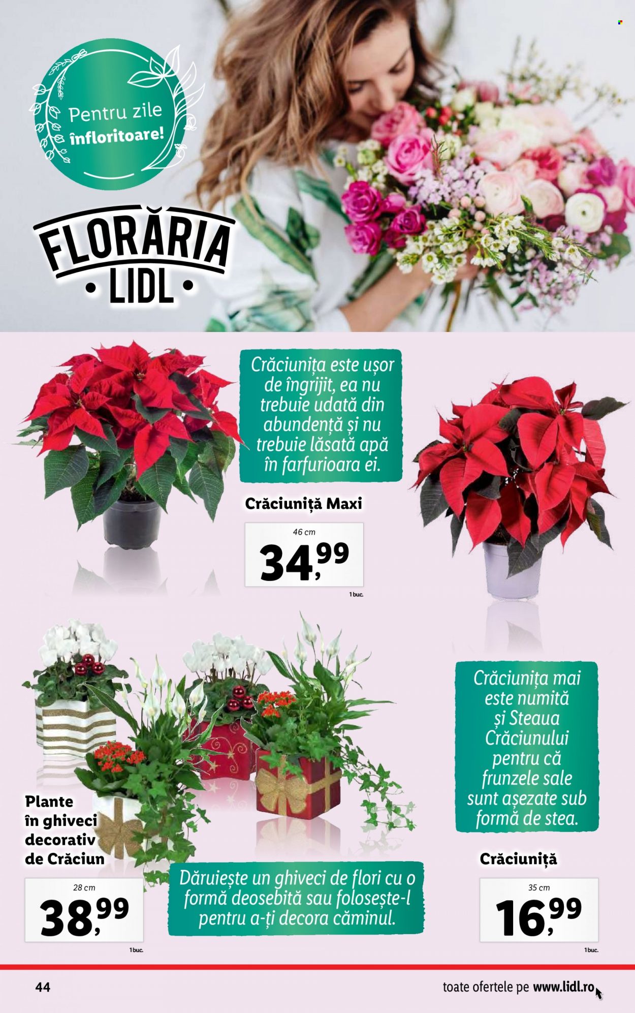 Catalog Lidl - 04.12.2023 - 10.12.2023. Pagina 44