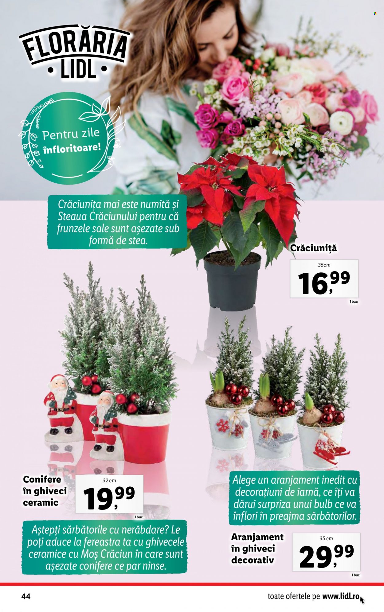 Catalog Lidl - 11.12.2023 - 17.12.2023. Pagina 44