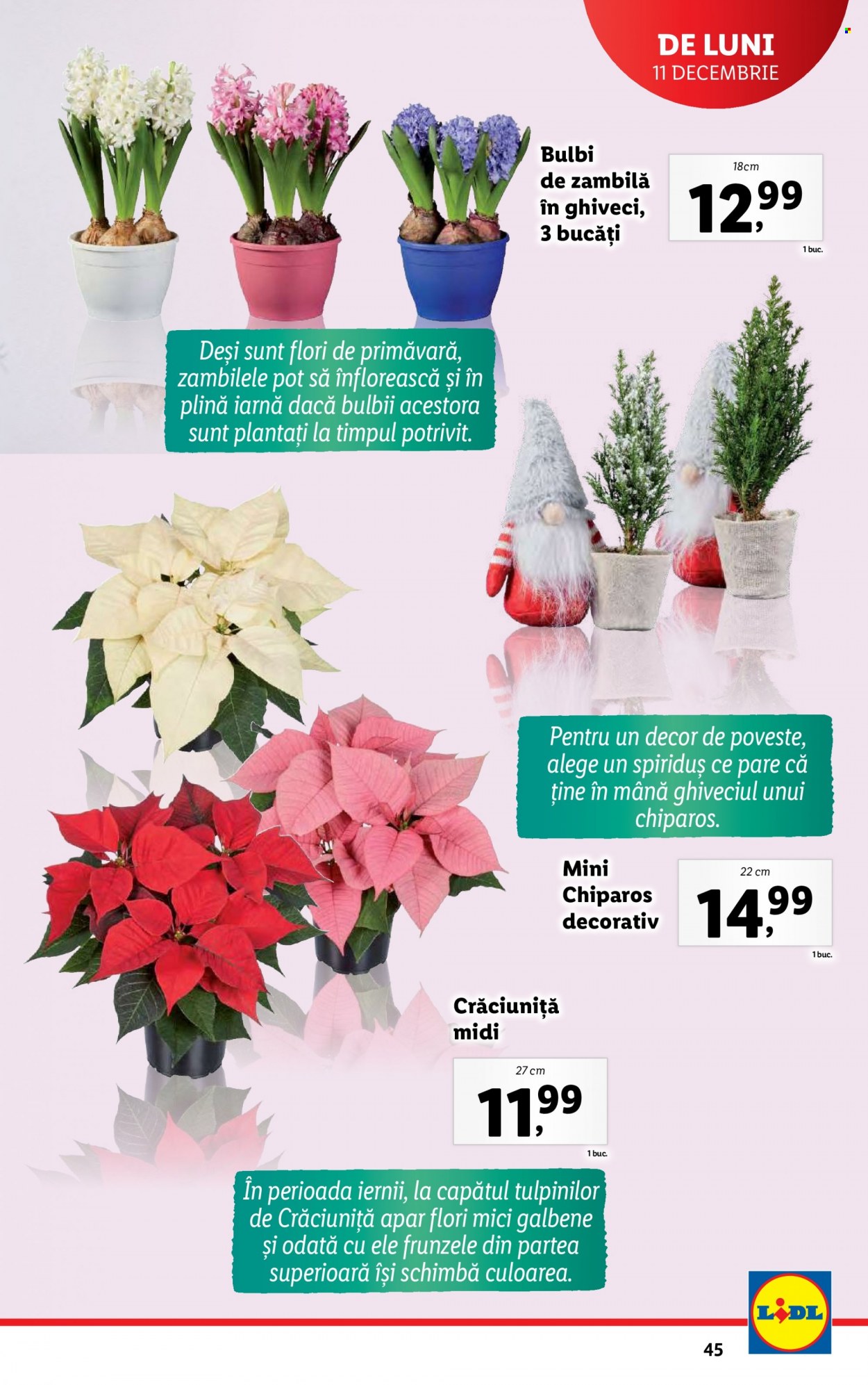 Catalog Lidl - 11.12.2023 - 17.12.2023. Pagina 45