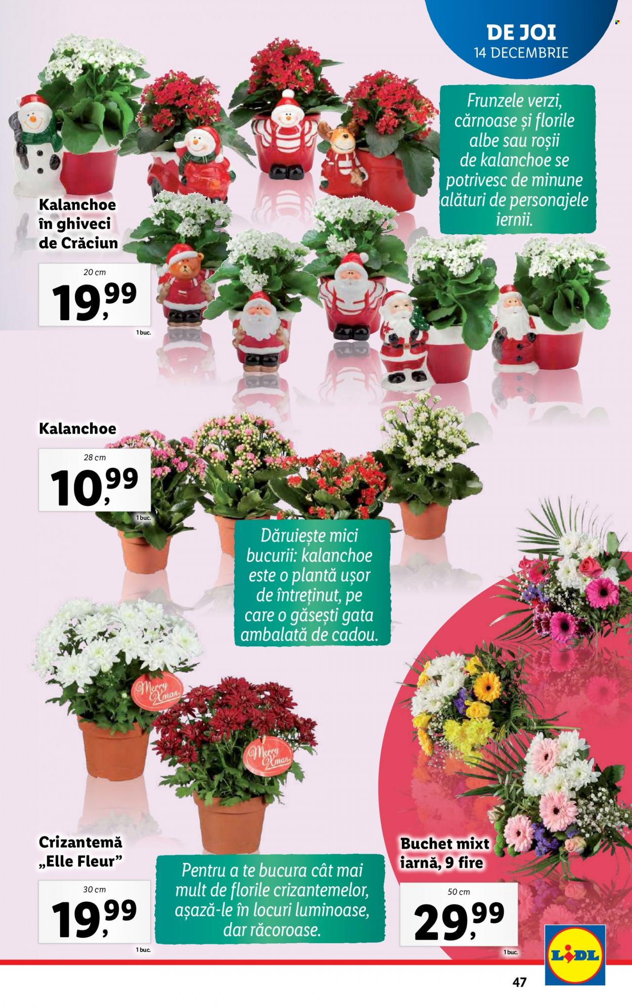 Catalog Lidl - 11.12.2023 - 17.12.2023. Pagina 47
