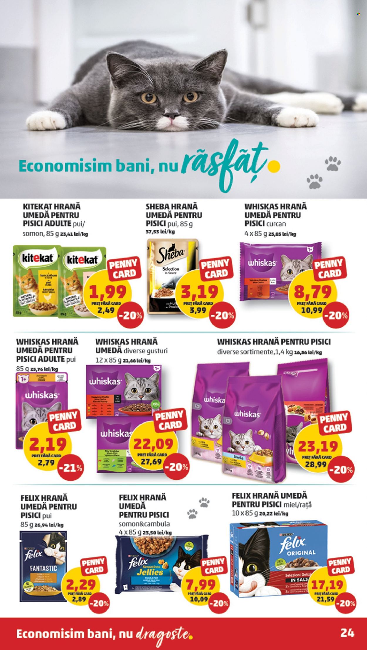 Catalog PENNY - 06.12.2023 - 12.12.2023. Pagina 24