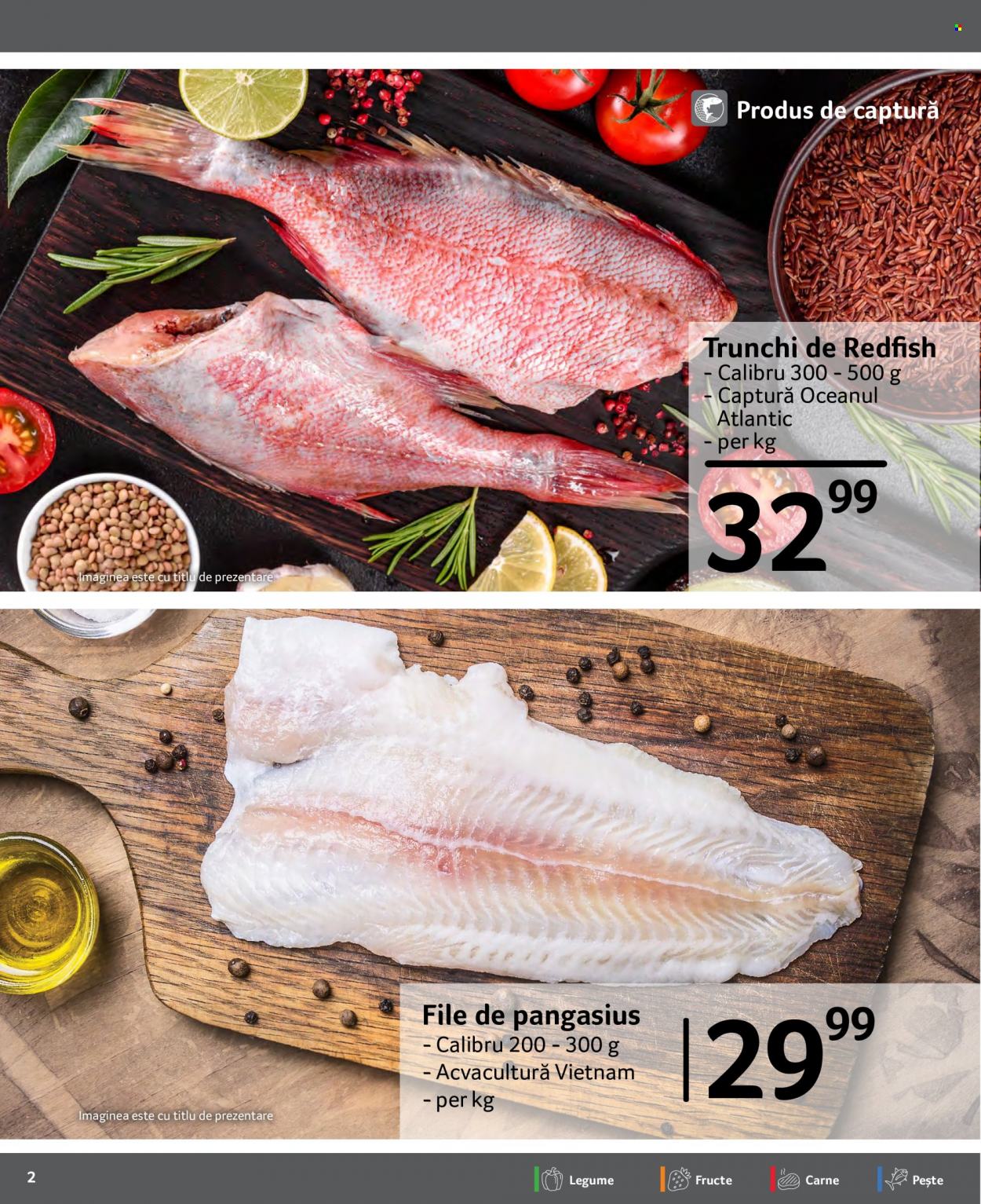 Catalog Selgros - 08.12.2023 - 14.12.2023. Pagina 2