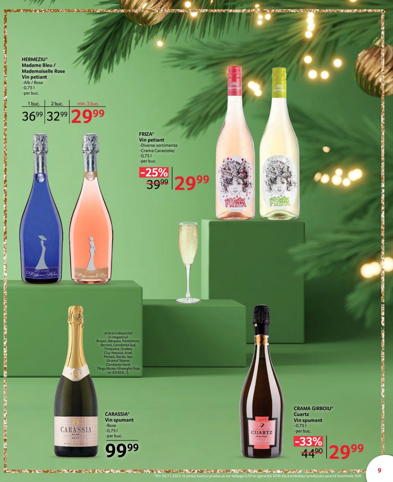 Catalog Selgros - 08.12.2023 - 31.12.2023. Pagina 9