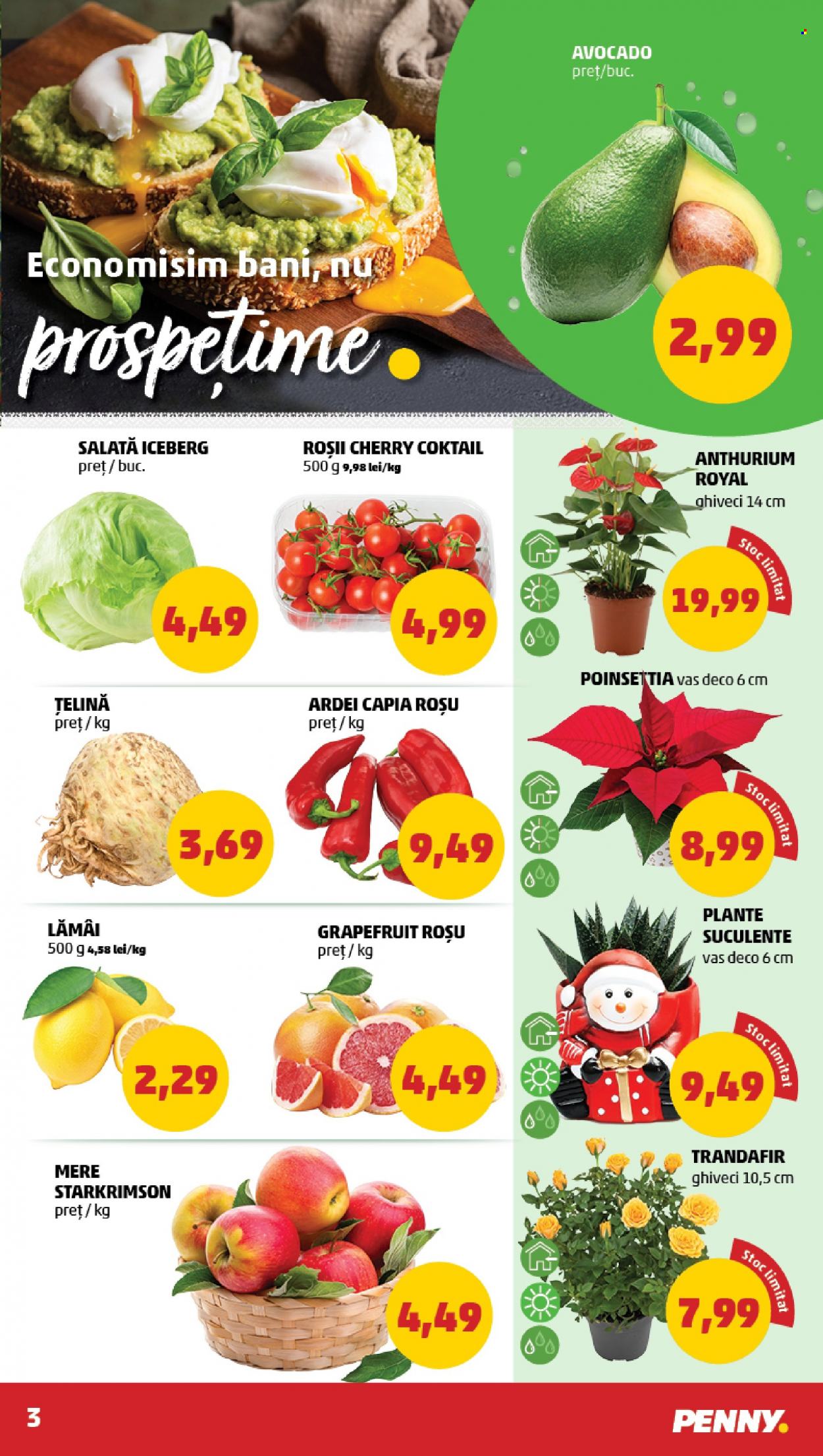 Catalog PENNY - 13.12.2023 - 19.12.2023. Pagina 3