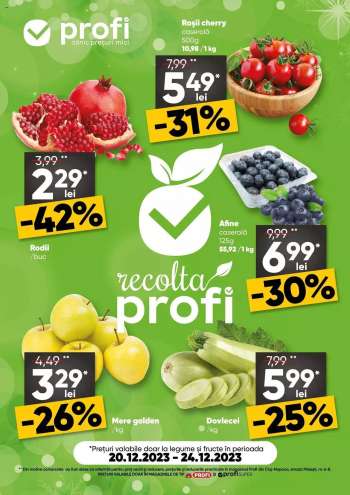 Cataloage Profi - 20.12.2023 - 24.12.2023.