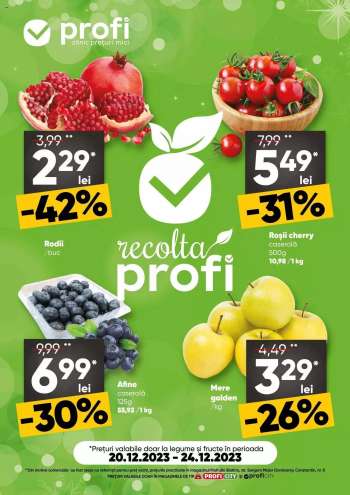 Cataloage Profi City - 20.12.2023 - 24.12.2023.