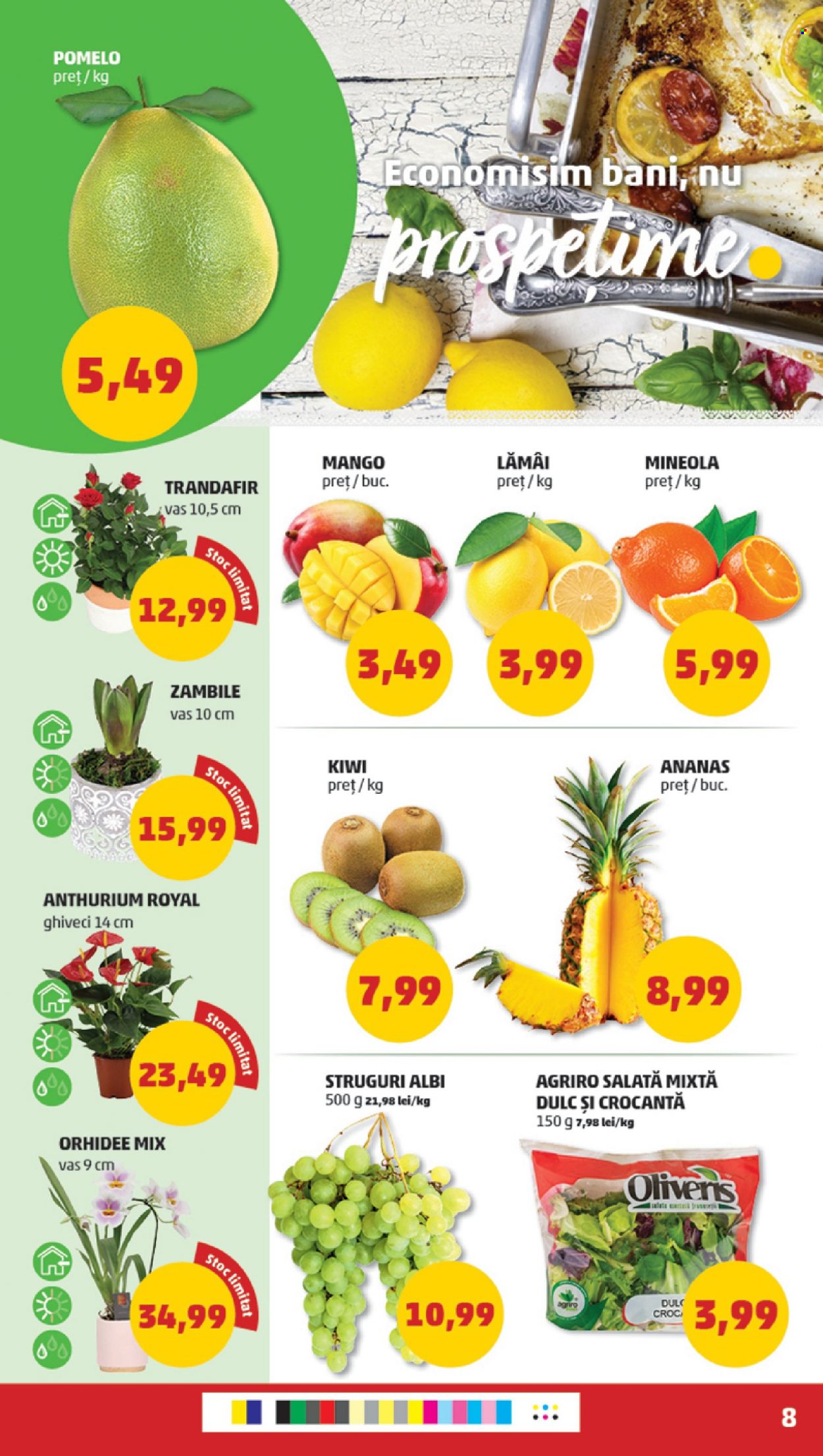 Catalog PENNY - 27.12.2023 - 02.01.2024. Pagina 8