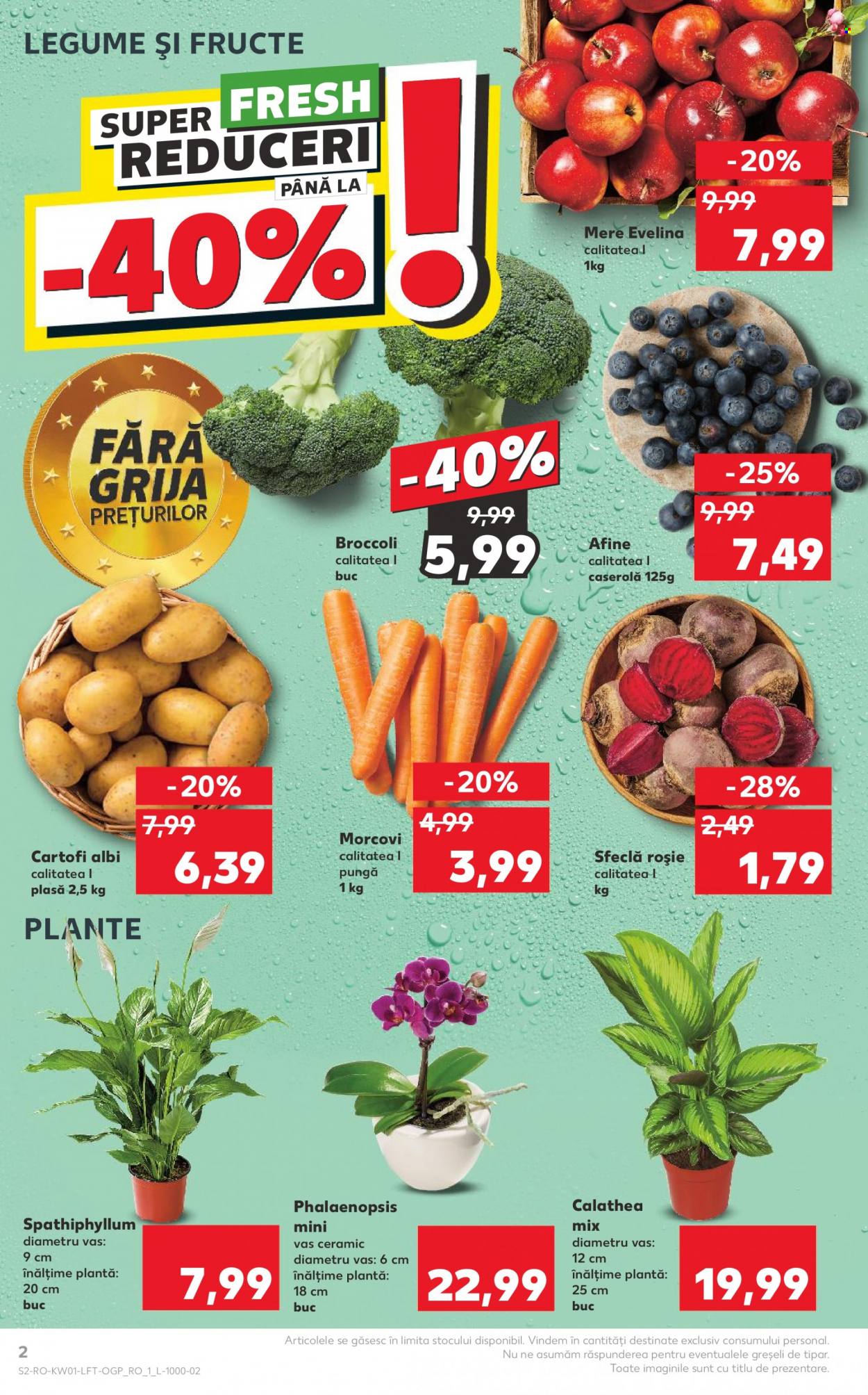 Catalog Kaufland - 03.01.2024 - 09.01.2024. Pagina 2