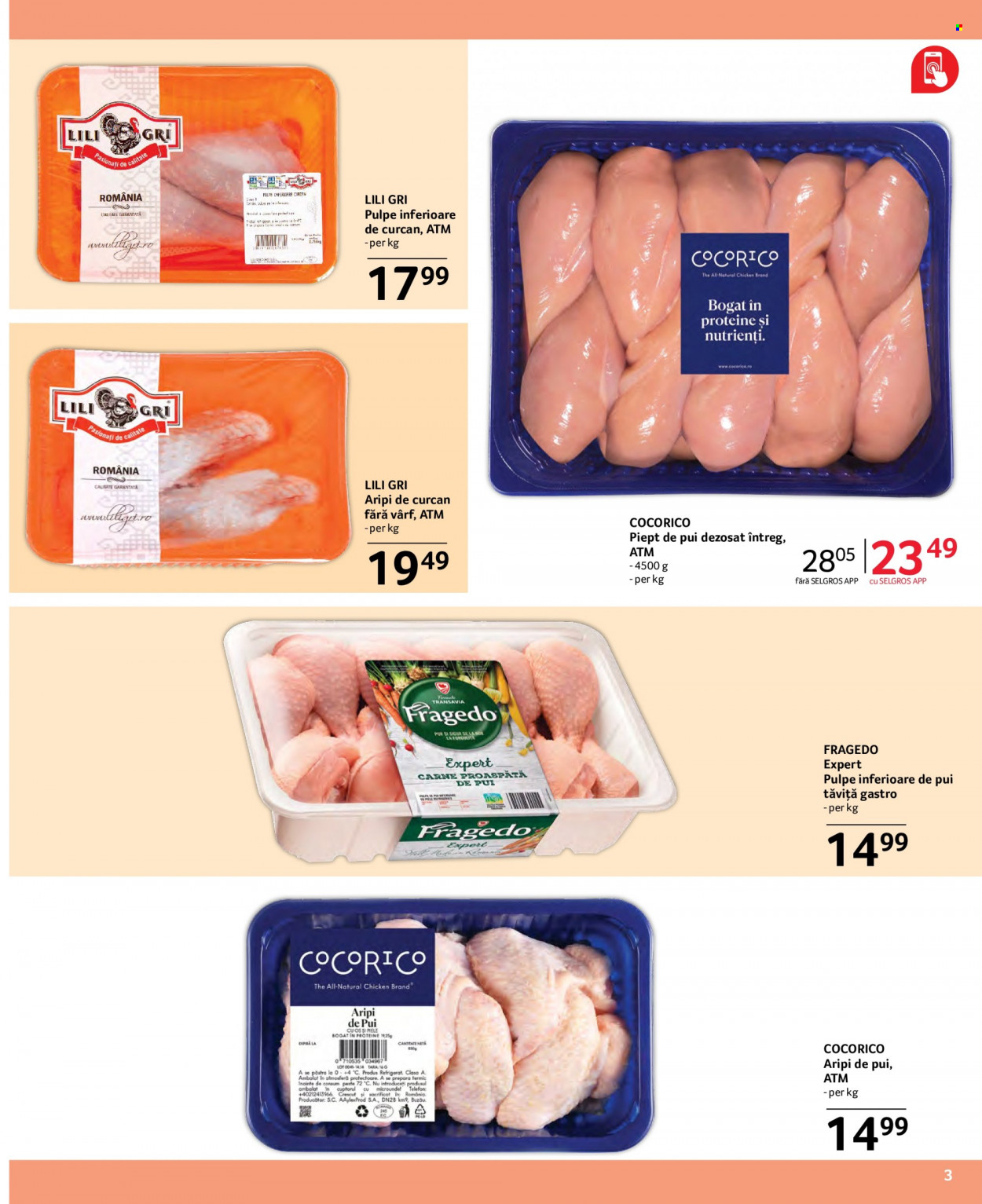 Catalog Selgros - 02.01.2024 - 31.01.2024. Pagina 3