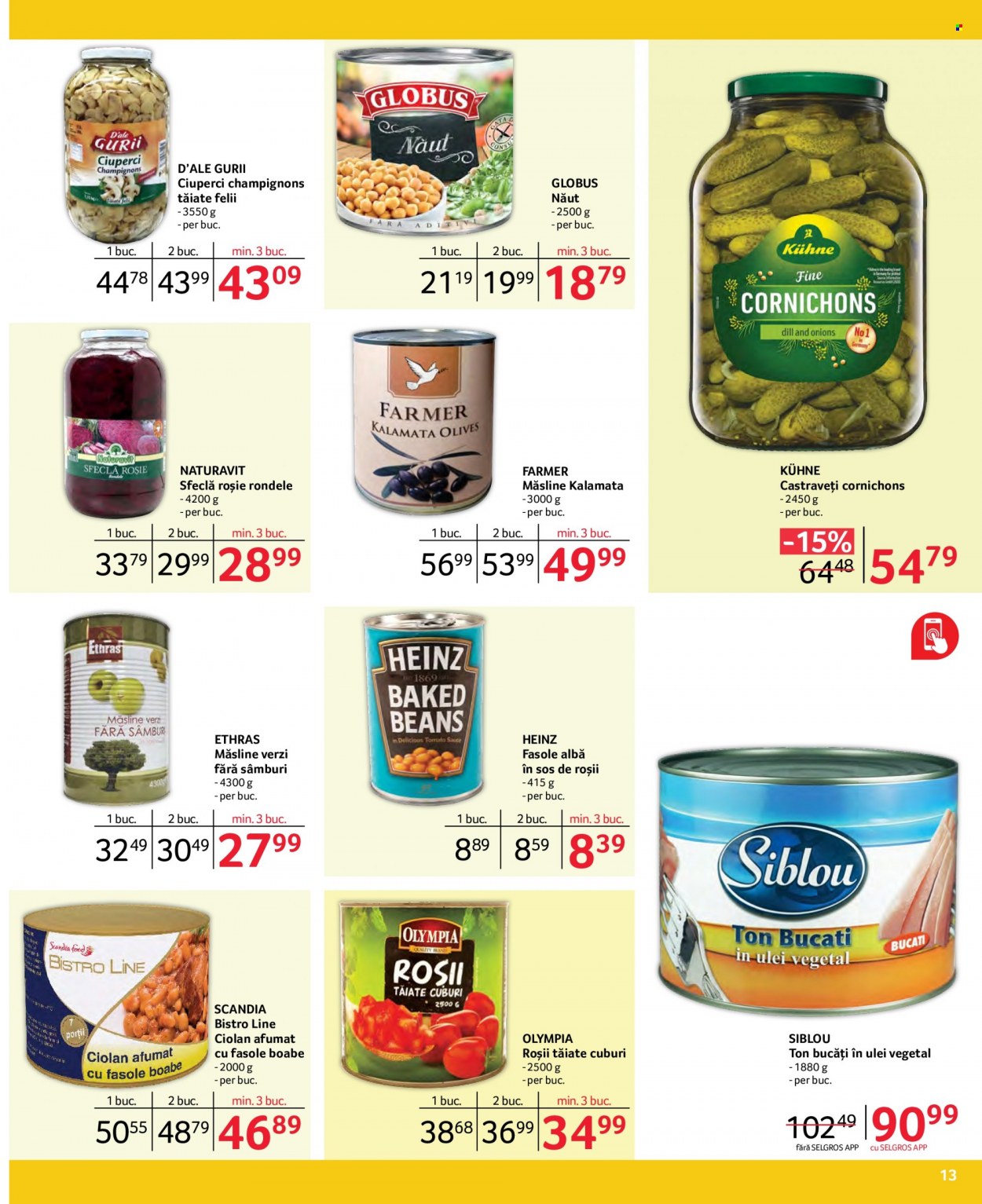 Catalog Selgros - 02.01.2024 - 31.01.2024. Pagina 13