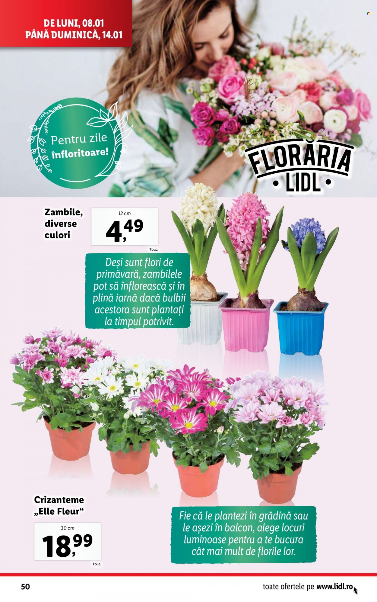 Catalog Lidl - 08.01.2024 - 14.01.2024. Pagina 48