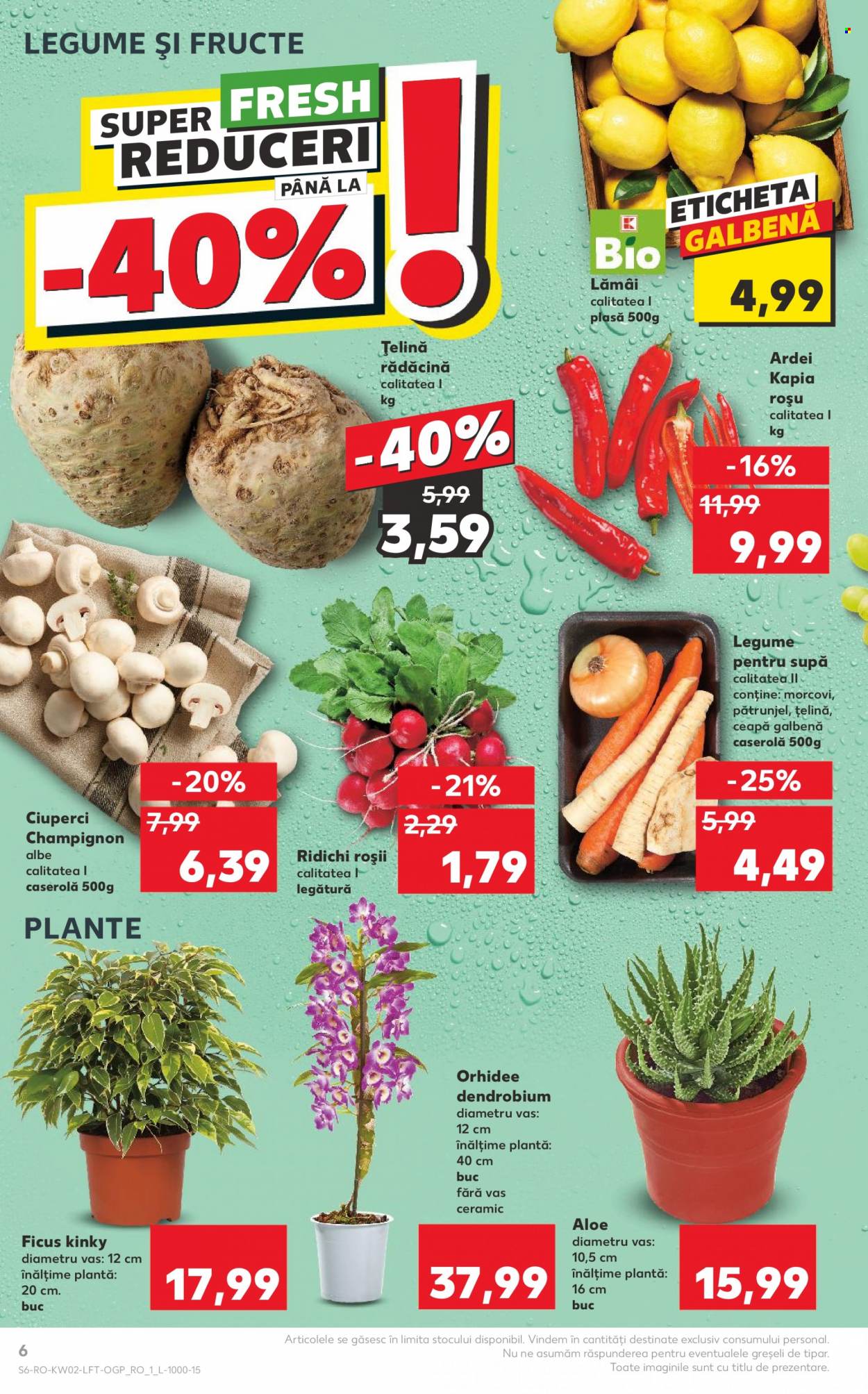 Catalog Kaufland - 10.01.2024 - 16.01.2024. Pagina 6