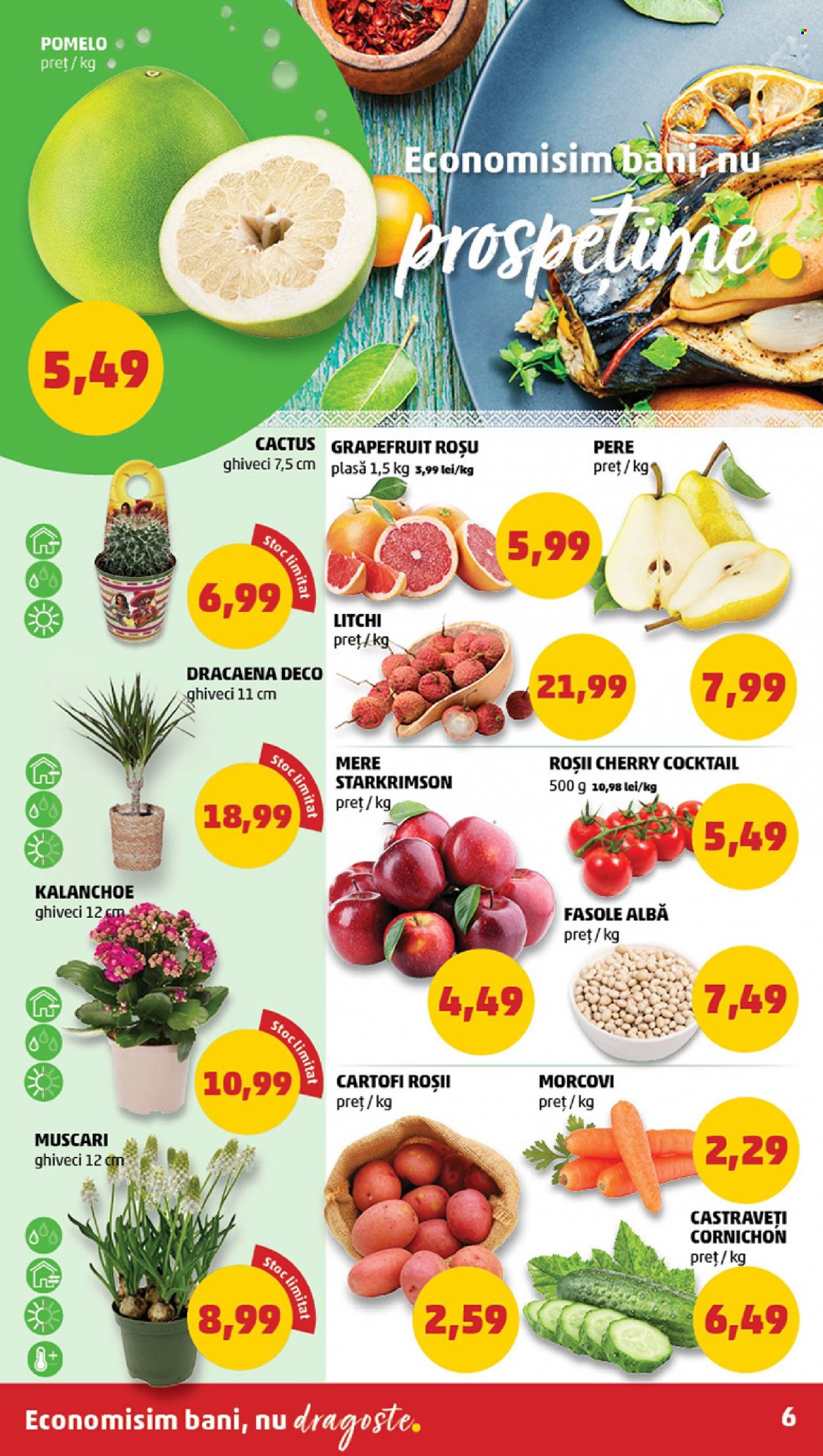 Catalog PENNY - 10.01.2024 - 16.01.2024. Pagina 6