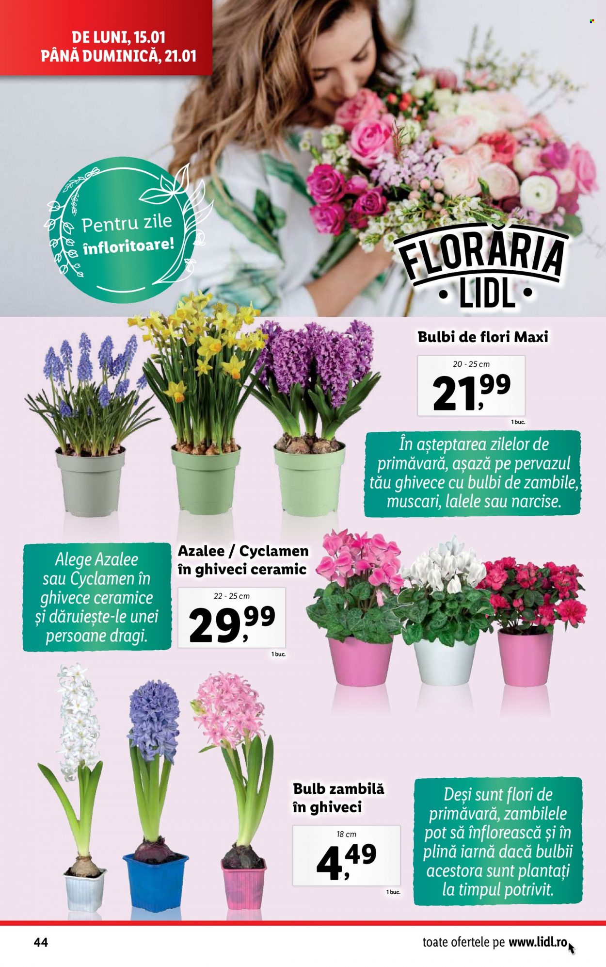 Catalog Lidl - 15.01.2024 - 21.01.2024. Pagina 44