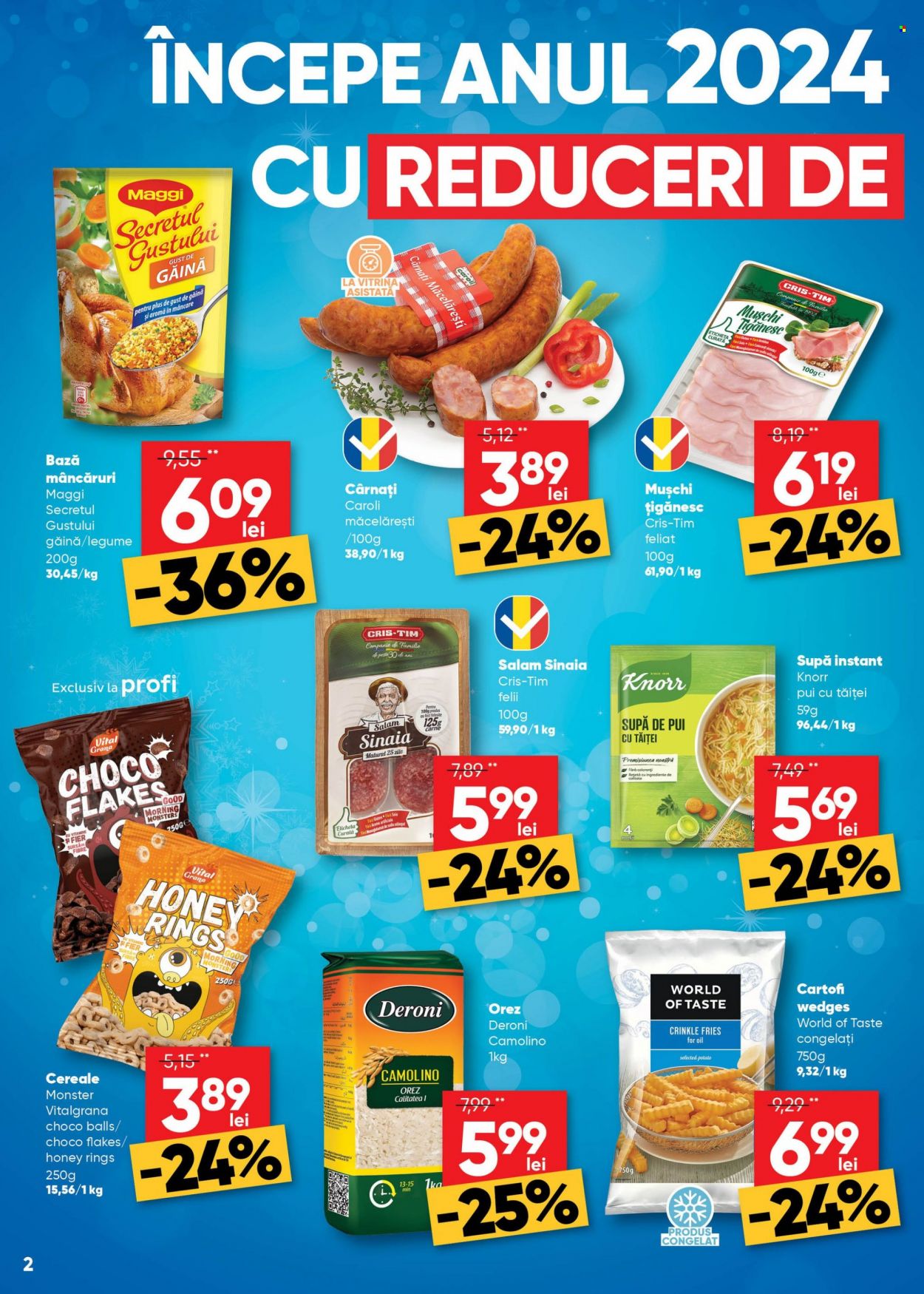 Catalog Profi - 10.01.2024 - 23.01.2024. Pagina 2