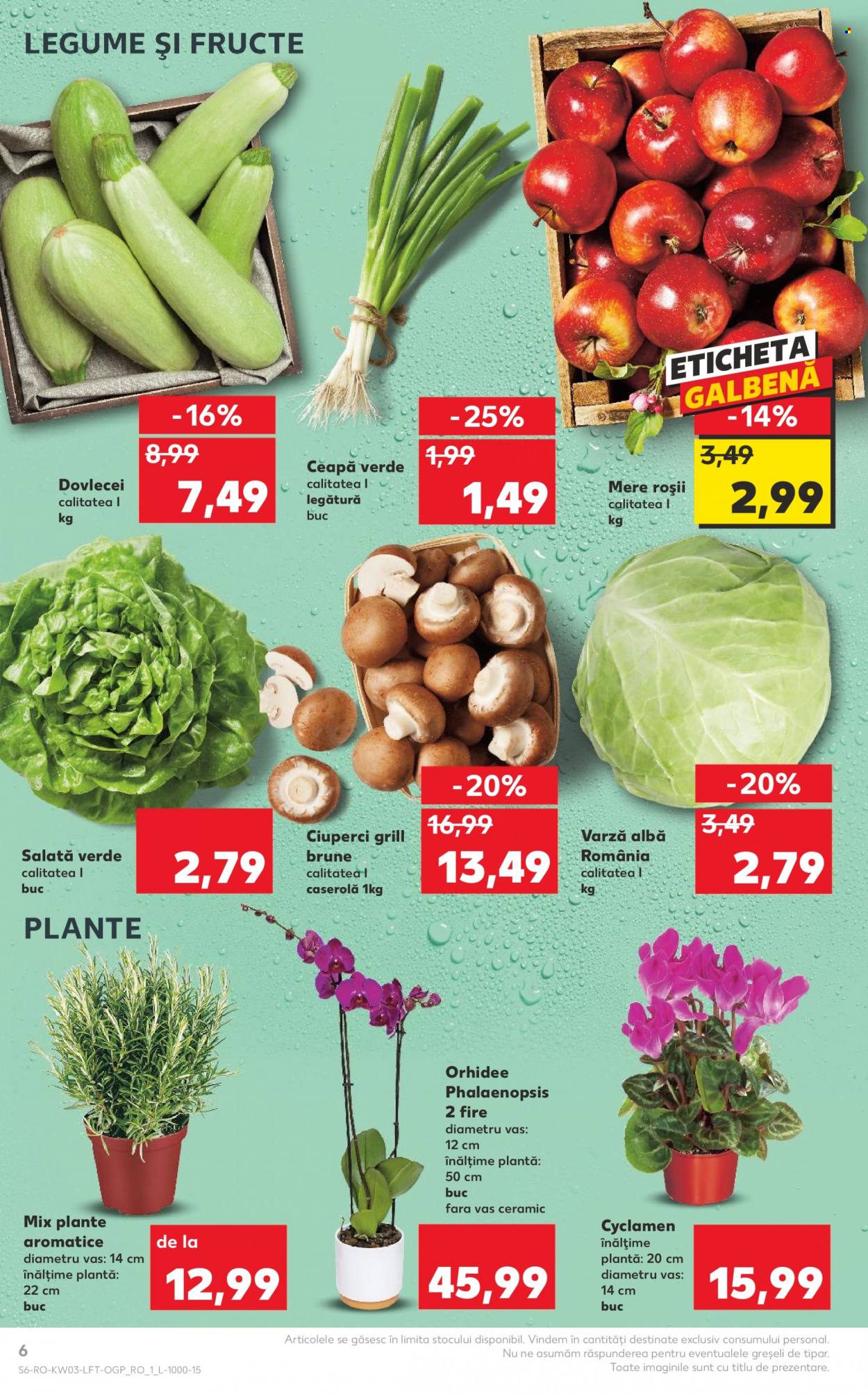 Catalog Kaufland - 17.01.2024 - 23.01.2024. Pagina 6