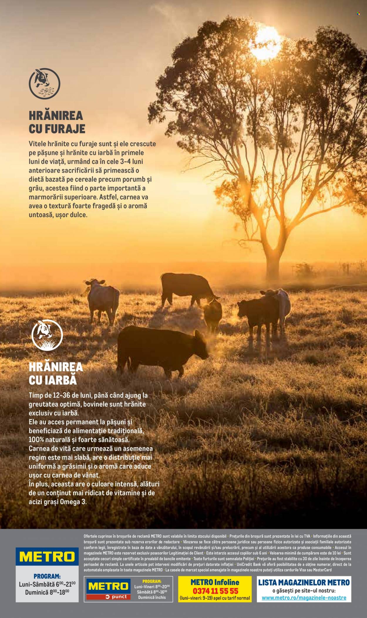 Catalog Metro - 01.01.2024 - 31.12.2024. Pagina 20