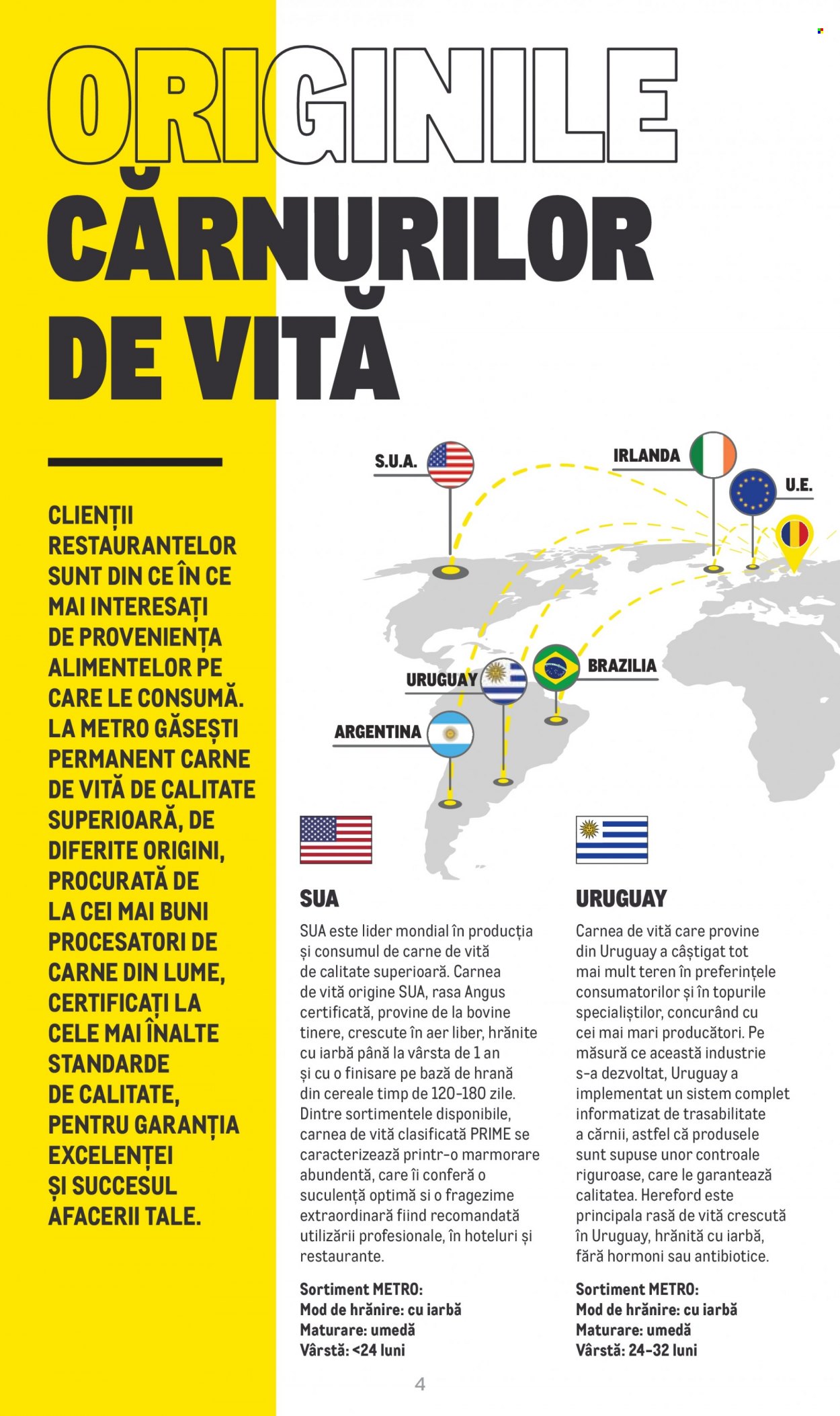 Catalog Metro - 20.06.2023 - 31.12.2024. Pagina 4