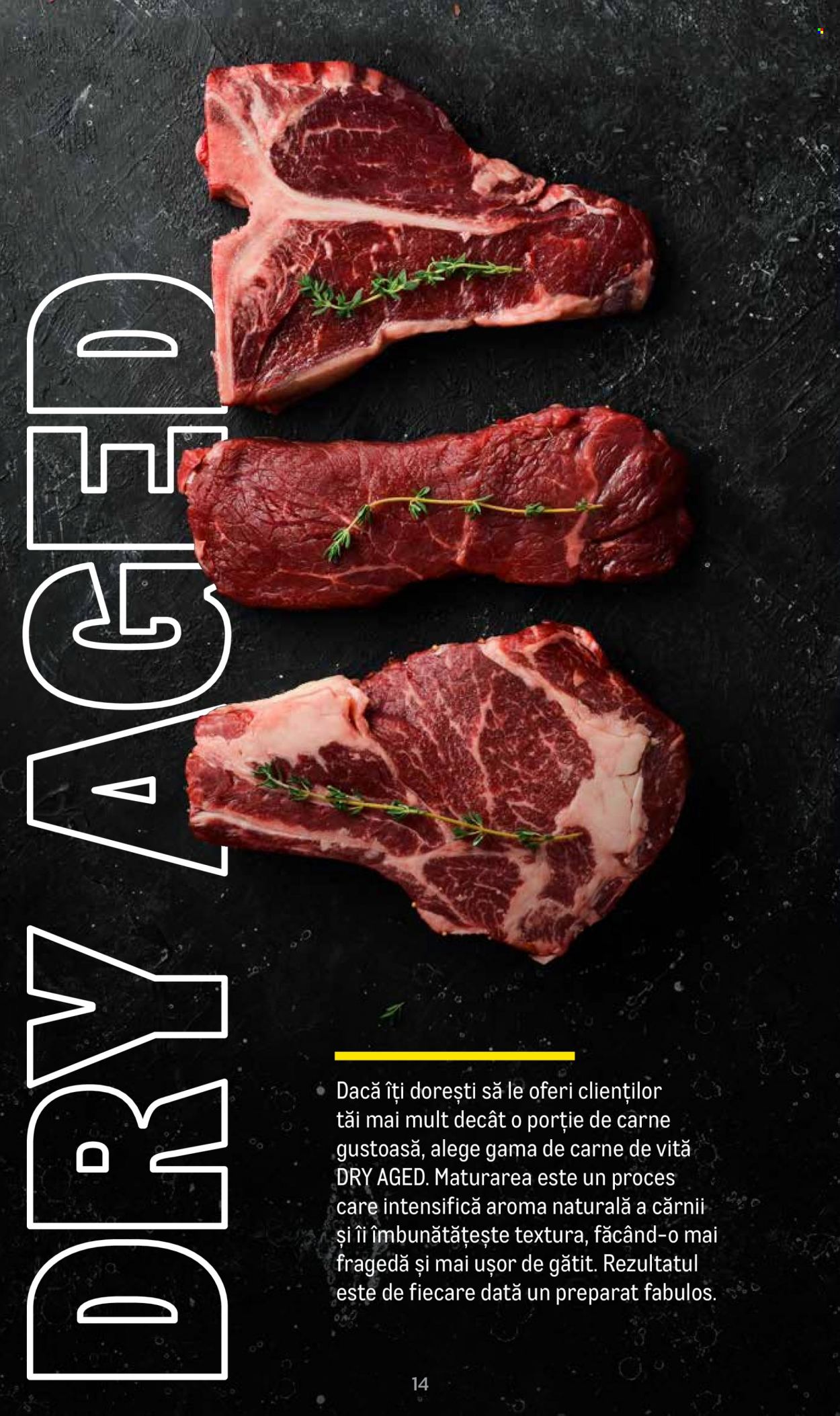 Catalog Metro - 20.06.2023 - 31.12.2024. Pagina 14