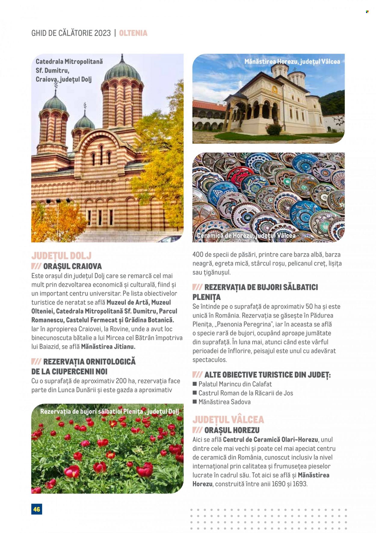Catalog Metro. Pagina 46