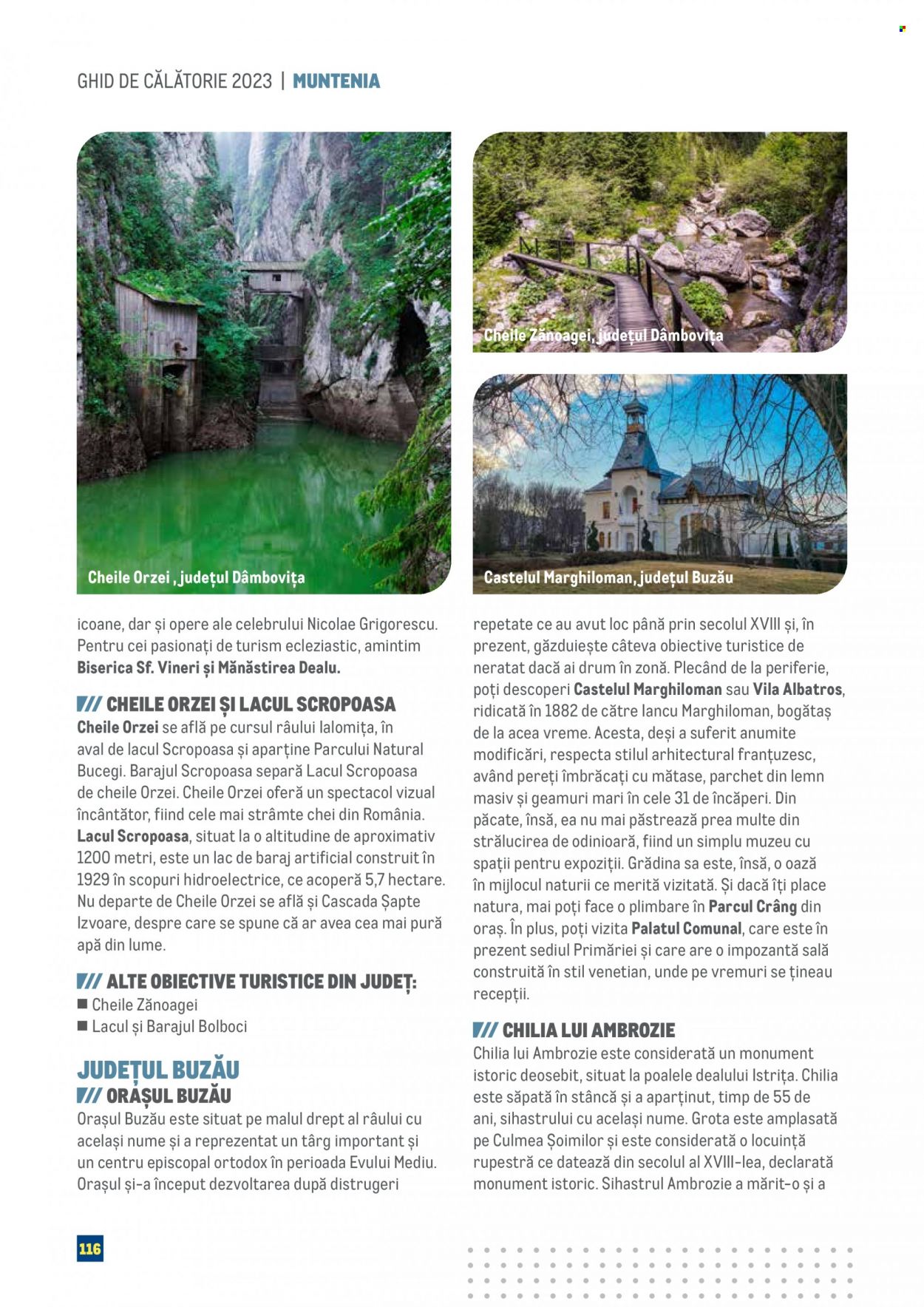 Catalog Metro. Pagina 116