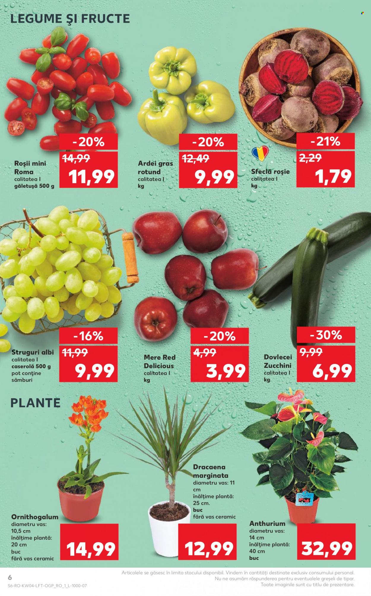 Catalog Kaufland - 24.01.2024 - 30.01.2024. Pagina 6