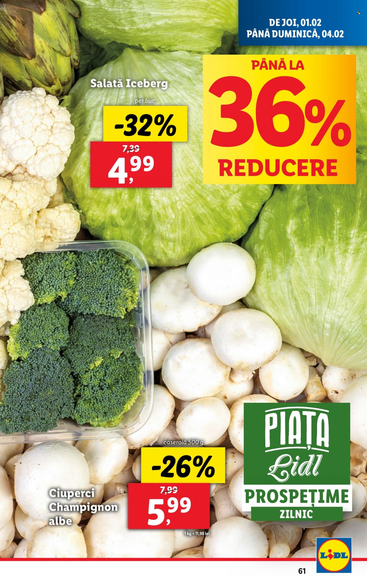 Catalog Lidl - 29.01.2024 - 04.02.2024. Pagina 61