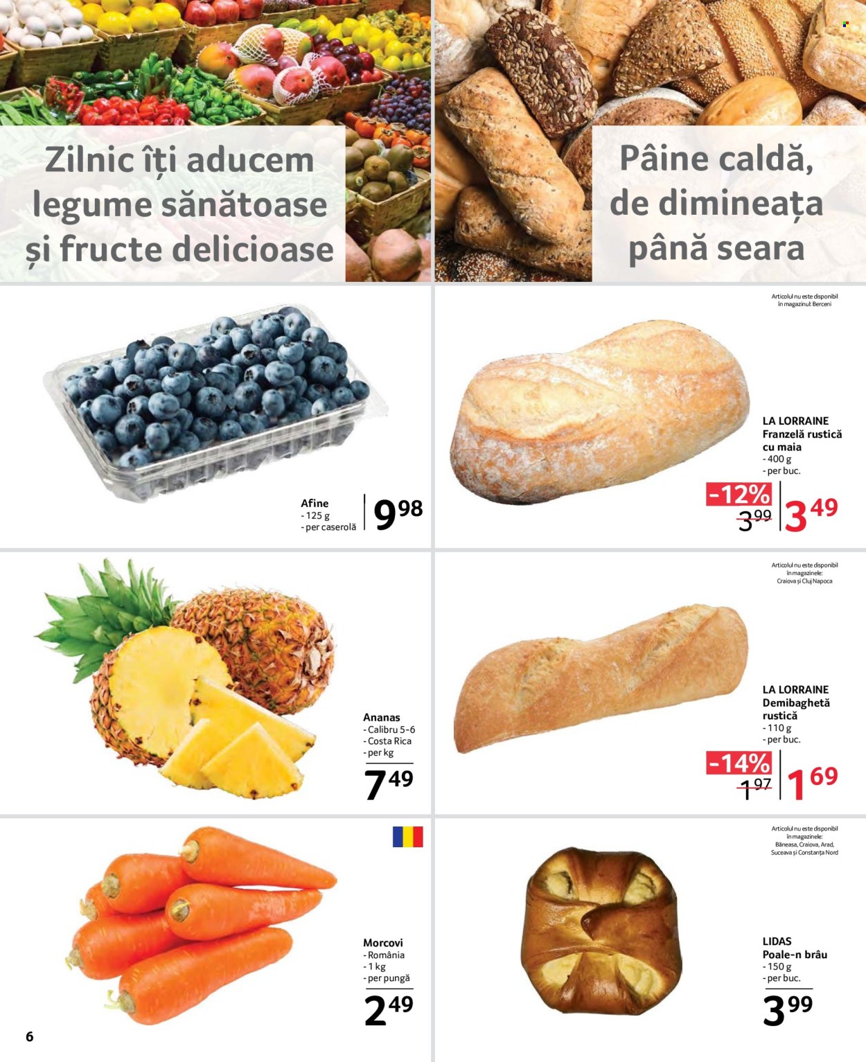 Catalog Selgros - 26.01.2024 - 08.02.2024. Pagina 6