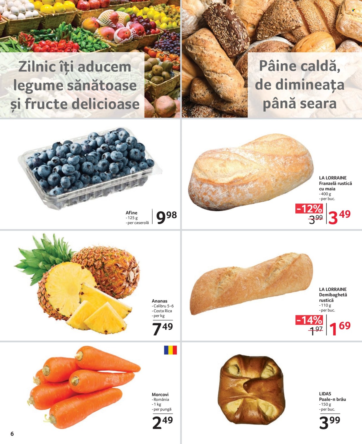 Catalog Selgros - 26.01.2024 - 08.02.2024. Pagina 6