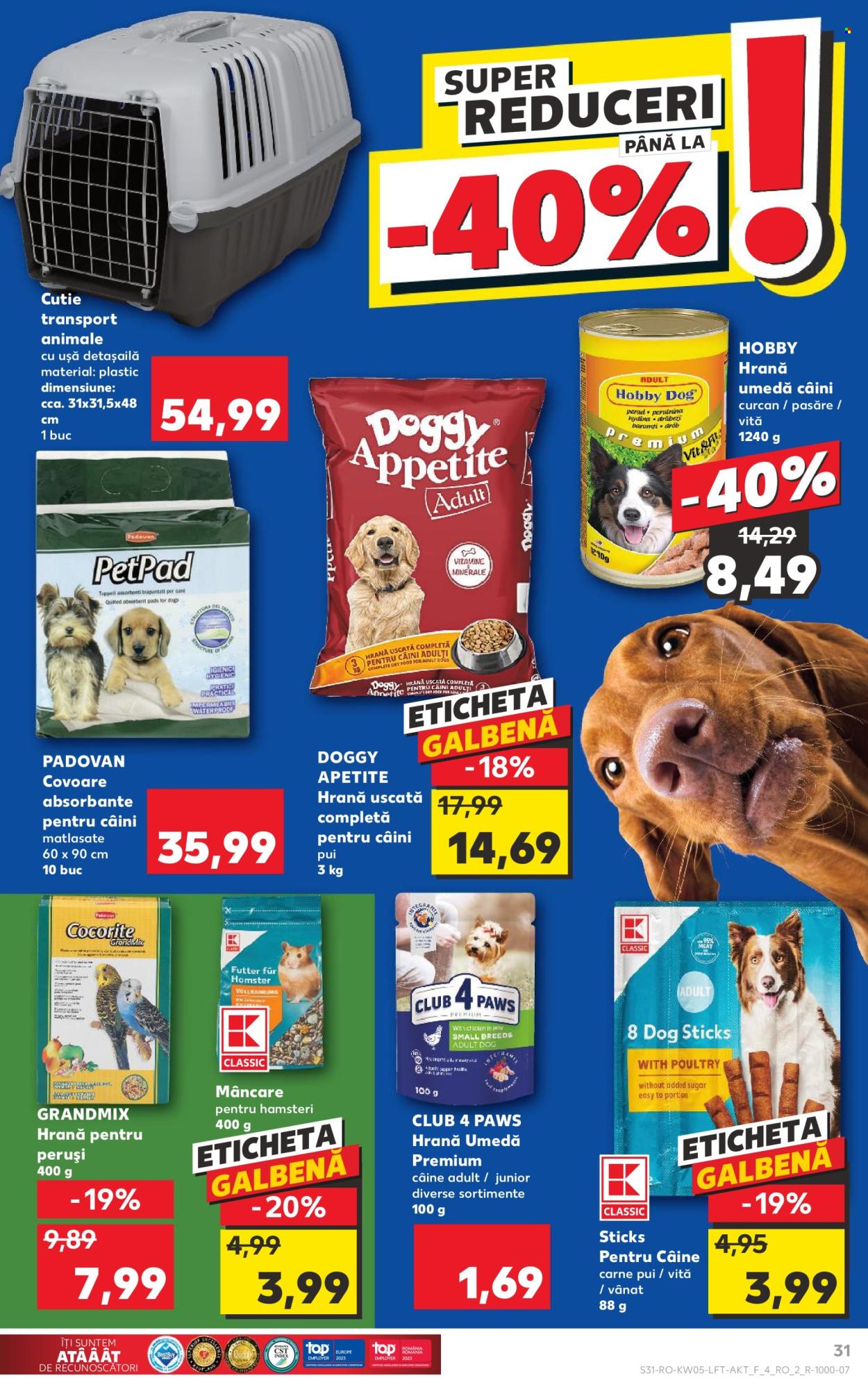 Catalog Kaufland - 31.01.2024 - 06.02.2024. Pagina 31