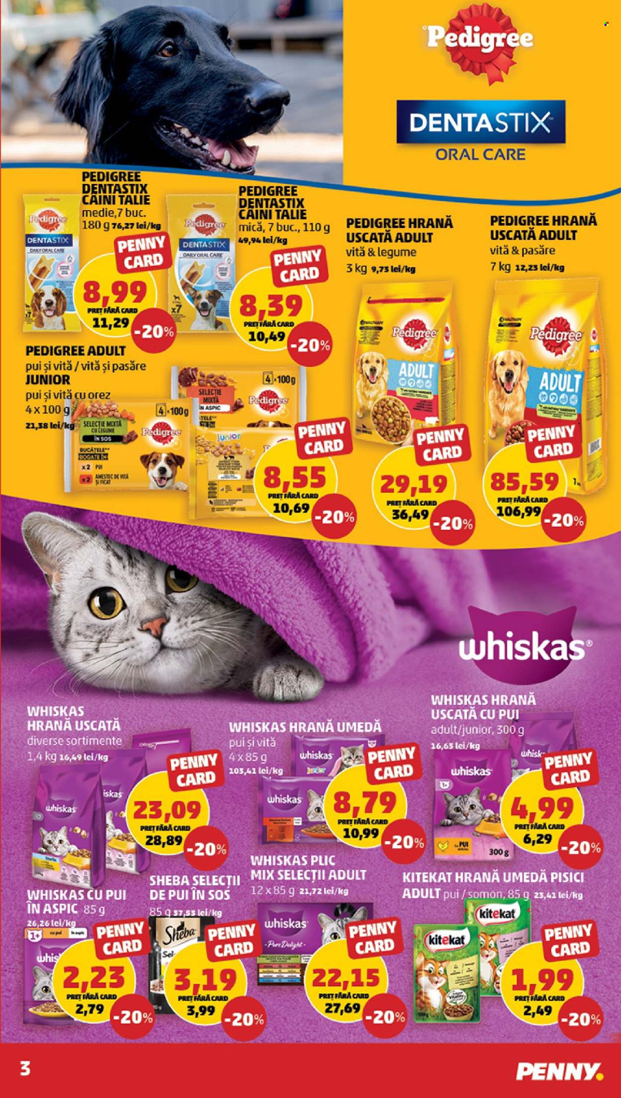 Catalog PENNY - 31.01.2024 - 06.02.2024. Pagina 3