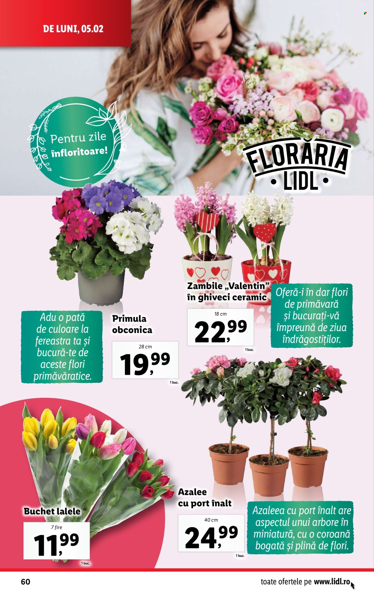 Catalog Lidl - 05.02.2024 - 11.02.2024. Pagina 60