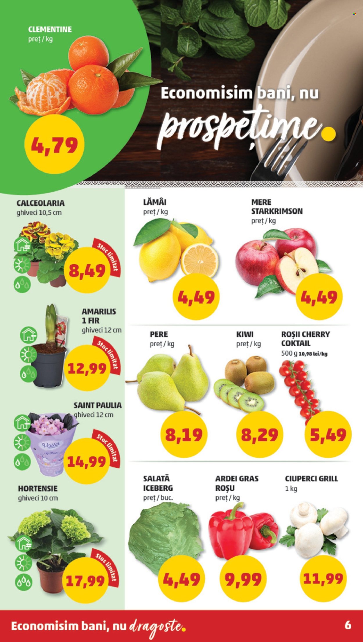 Catalog PENNY - 07.02.2024 - 13.02.2024. Pagina 6