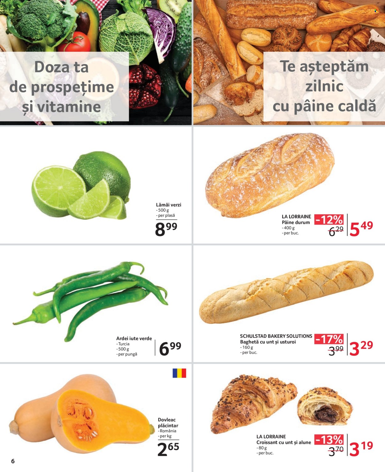 Catalog Selgros - 09.02.2024 - 22.02.2024. Pagina 6