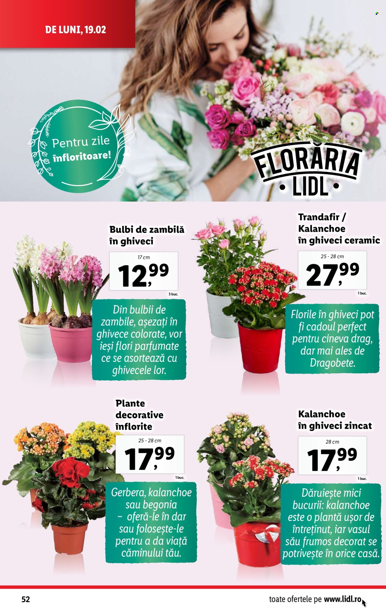 Catalog Lidl - 19.02.2024 - 25.02.2024. Pagina 52