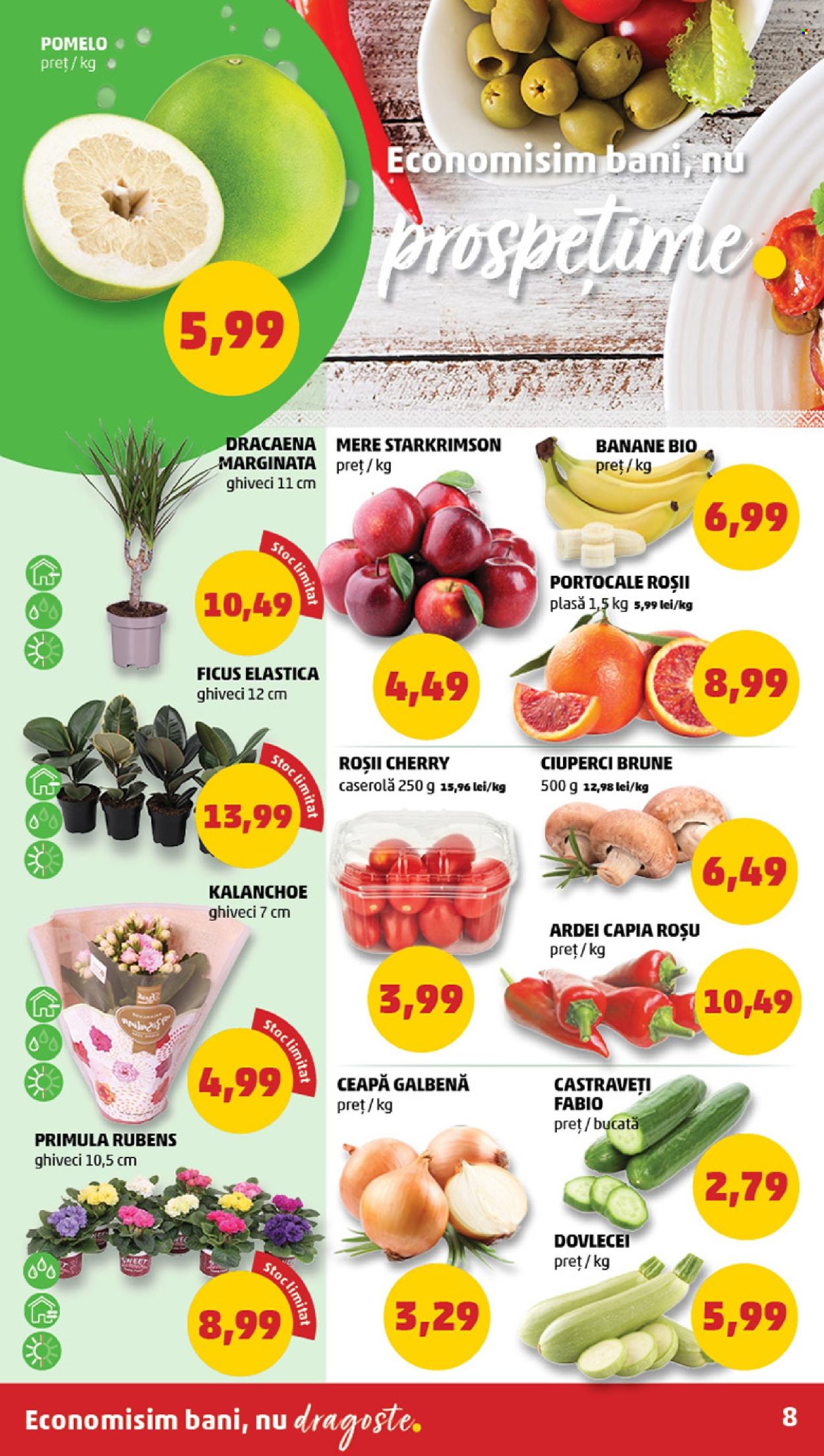 Catalog PENNY - 21.02.2024 - 27.02.2024. Pagina 8