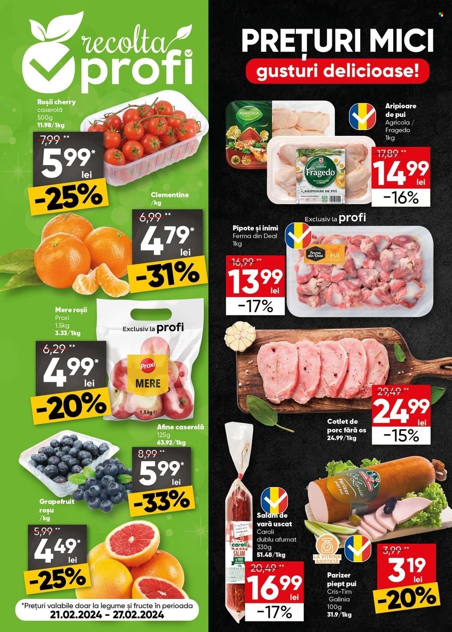 Catalog Profi Loco - 21.02.2024 - 05.03.2024. Pagina 6
