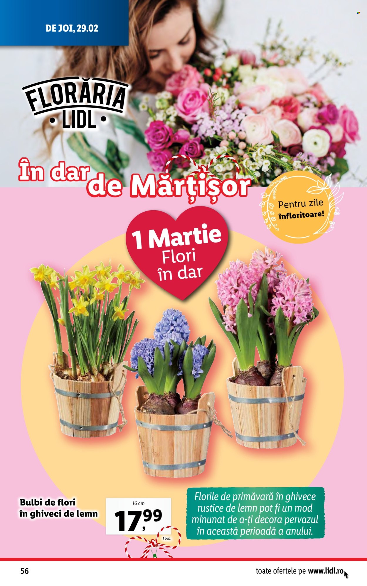 Catalog Lidl - 26.02.2024 - 03.03.2024. Pagina 56